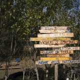 Siamo quindi andati a visitare l'asilo nel bosco di Palombaio.Si trova al civico 134 di corso Vittorio Emanuele, dove all'ingresso campeggia un simpatico cartello in legno che recita: "In questo piccolo pezzo di mondo � naturale salire sugli alberi, vivere le emozioni, crederci e riuscirci. Curare la terra, sporcarsi, piantare alberi, andare nelle pozzanghere"
